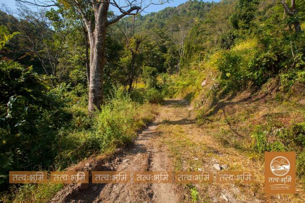 16 Ropani land for sale in Kalleri - Nuwakot.
