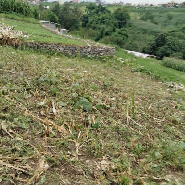 6.5 Anna land for sale in kirtipur 