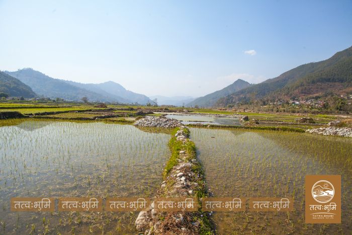 2 Ropani land near Chahare, Nuwakot on Sale