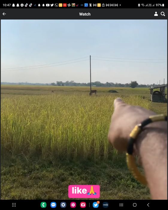 Jhapa jilla ko Bhadrapur ko Jhapa chok ko land sell