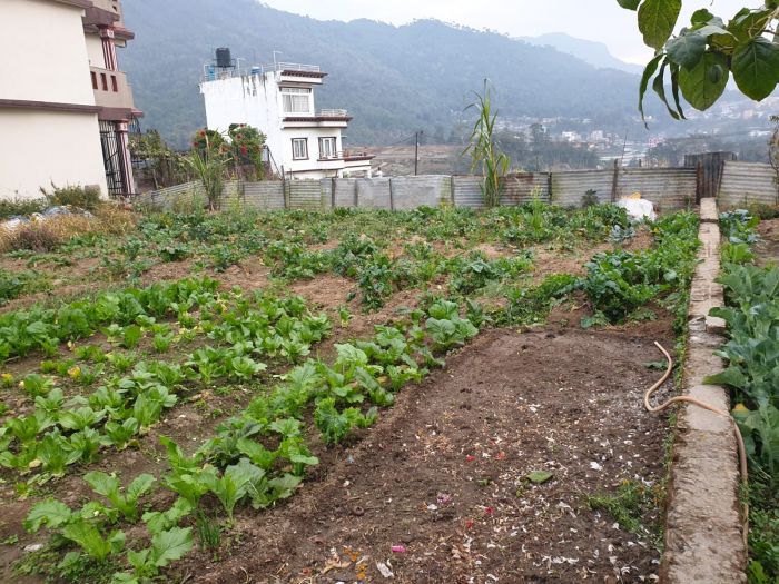 Land for sale in Tokha-2