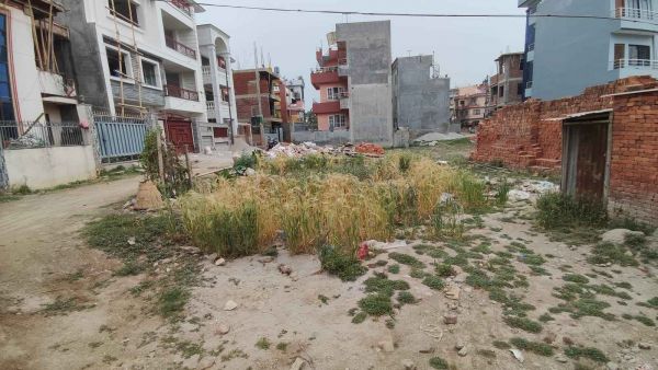 Land on Sale at Imadol