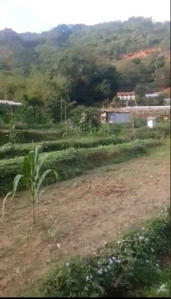Prime Location Land with Road Access & All Utilities Prime Location Land with Road Access & All Utilities