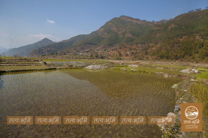 2 Ropani land near Chahare, Nuwakot on Sale
