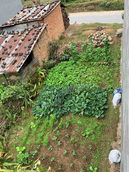 4 aana land for sale in Damauli Vyas-5 Ranitari