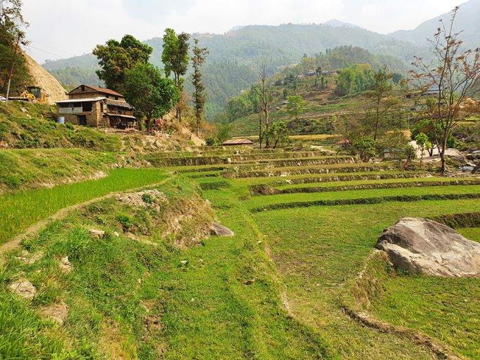 6 Ropani 8 Ana land on Sale at Sherabagar, Nuwakot