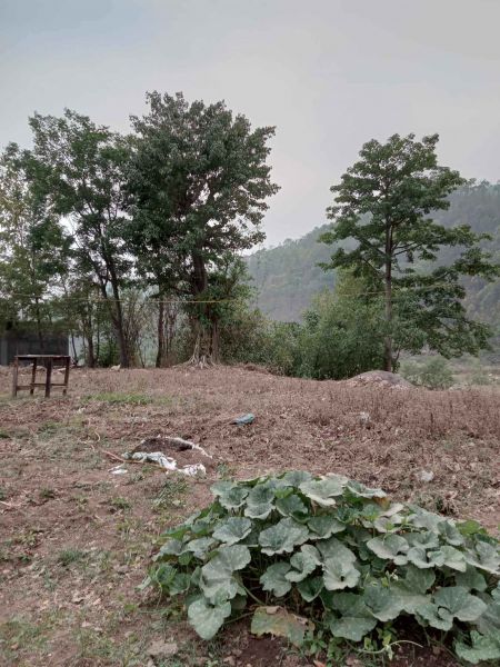 Land Sale at chaukitole Hetauda