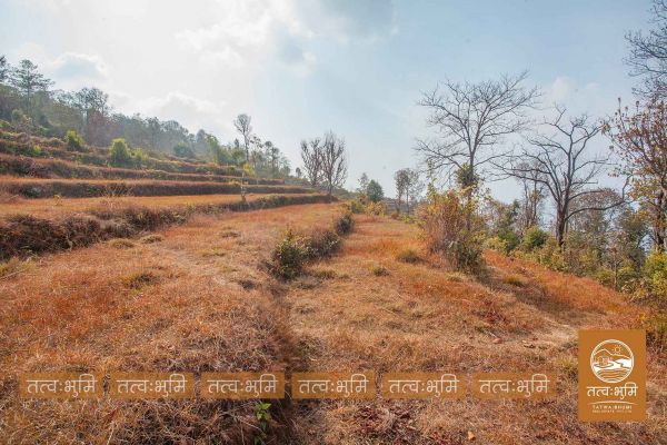 13 Ropani land for sale in Kamchok - Nuwakot