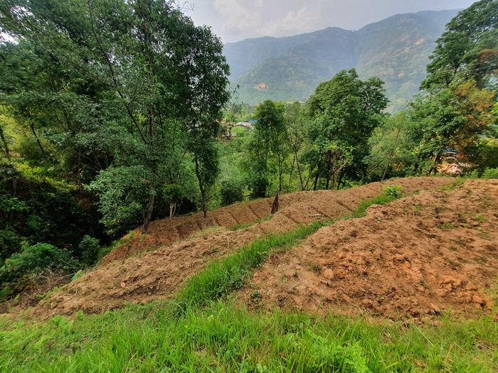 1 Ropani 10 Ana Land on Sale – Sunkhani, Nuwakot