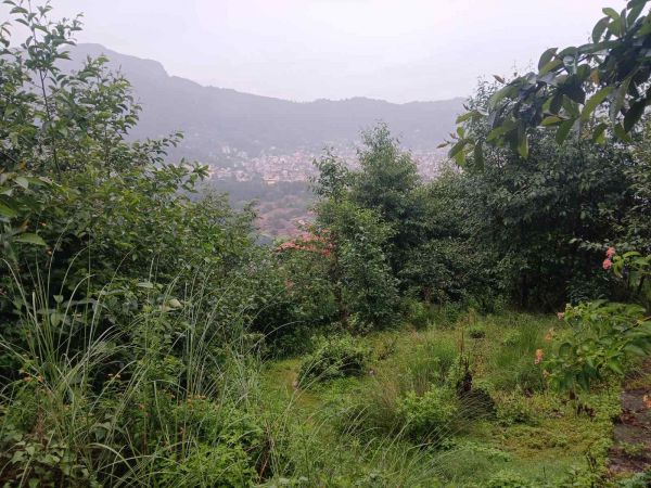 Land on Sale in Budhanilkantha Bisnu Height