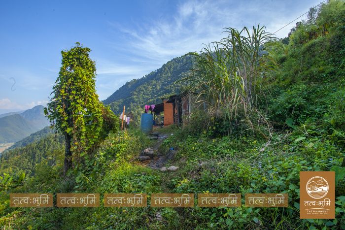 6 Ropani land for sale Dhikure, Nuwakot.