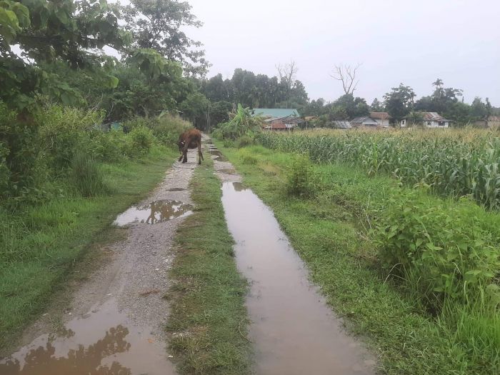 Potential Land for sale in Belbari, Morang