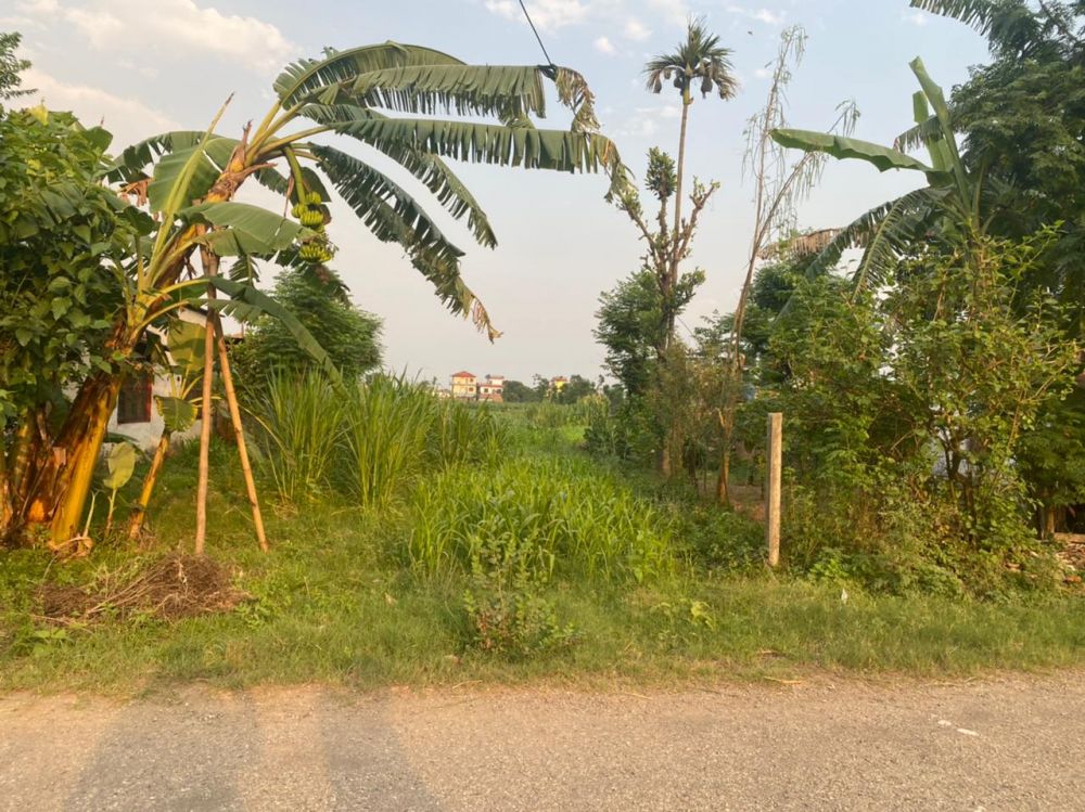 Land for sale in Ratnanagar  12 Chitwan