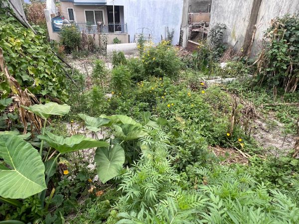 Land for sale in Bista Gaun, Harhar Mahadev, Gothatar. 4 aana 2 dam