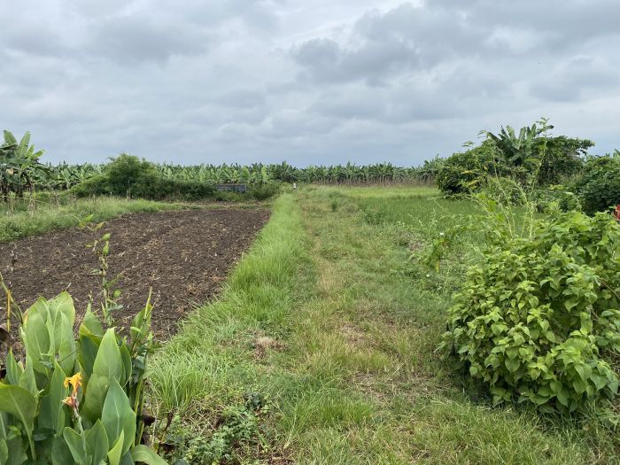 1 kattha (3645 sq.feet) jagga bikri ma