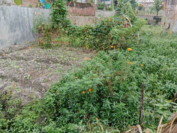 Land On Sale at Sanagau, Lalitpur