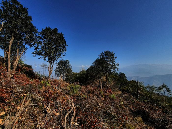 28 Ropani near Suryachaur, Nuwakot on Sale