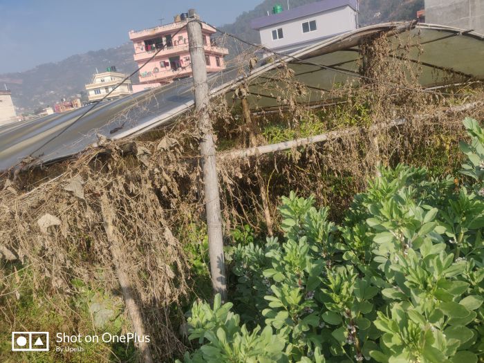 Land sale in Balambu Kathmandu