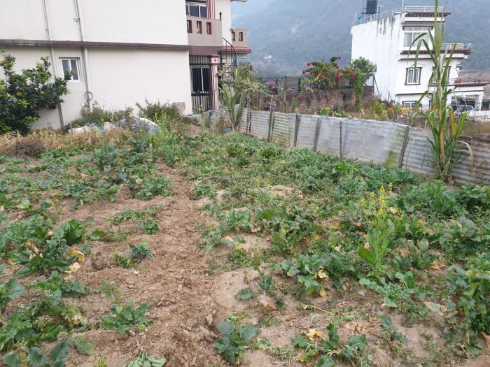 Land for sale in Tokha-2