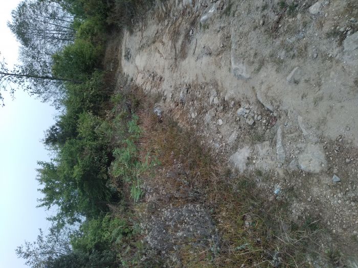 Land for sale in nuwakot