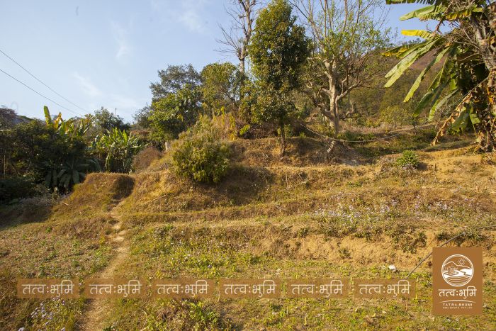 15 Ropani Land On Sale at Phedibeshi, Nuwakot.