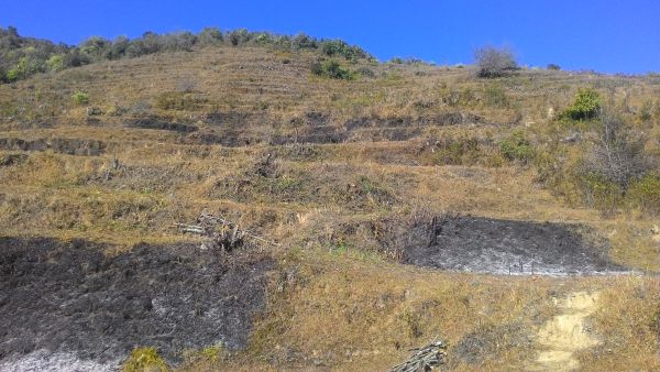 Land at Suryachaur for Sale - 13 Ropani 6 anna