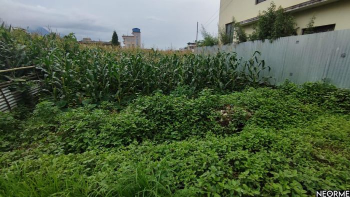 Beautiful Land for sale at Nakhipot , Near oasis school paxadi,1km meter inside dolahitii road.
