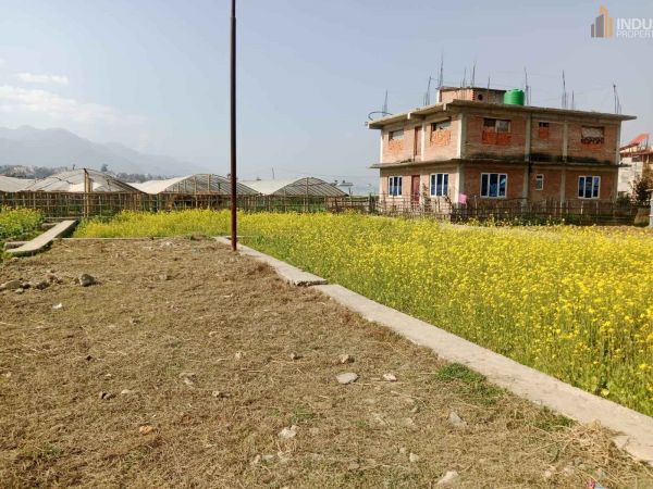 Land On Sale at Harisiddhi, Lalitpur