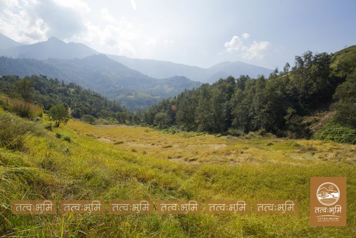 18 Ropani land on Sale at Mulabari, Nuwakot