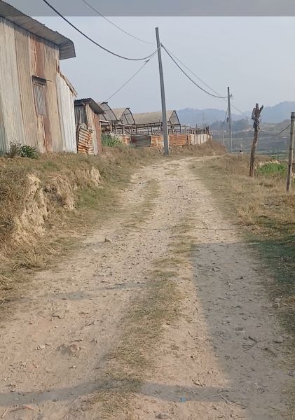 Urgently want to sell the land.