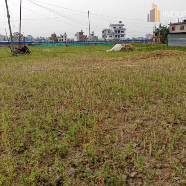 Land on sale-Lamatar, Lalitpur