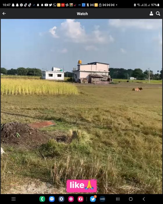 Jhapa jilla ko Bhadrapur ko Jhapa chok ko land sell