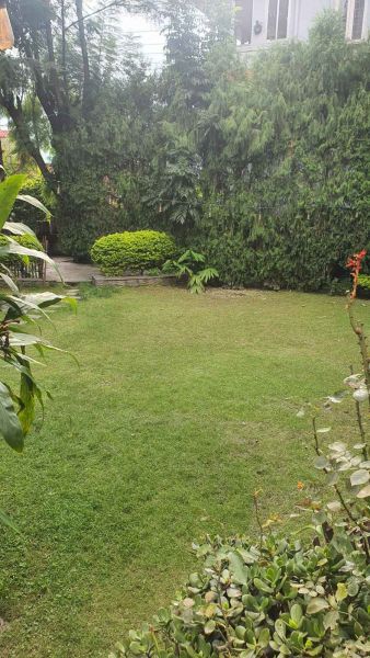 House on rent at Jhamsikhel, Lalitpur