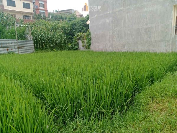 Land on sale at Thaiba, Lalitpur