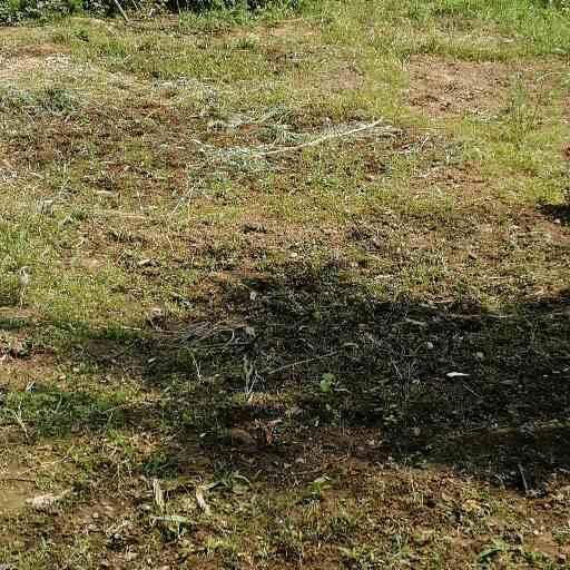 Land on sale udaipur gaighat bokse