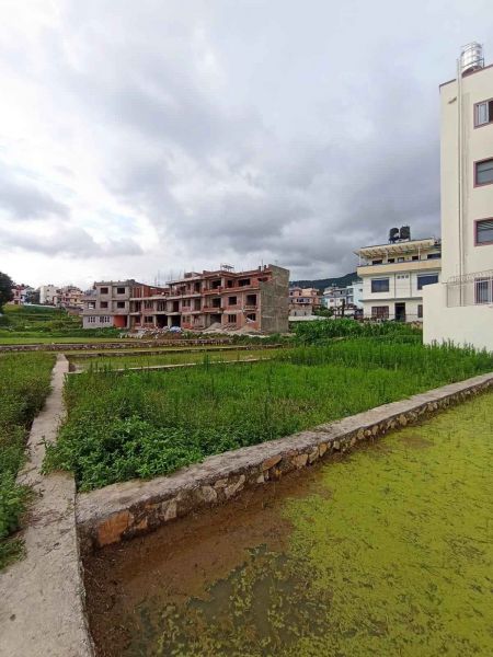 Land On Sale At Pasikot, Budhanilkantha 