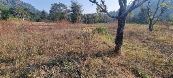 COMMERCIAL/AGRICULTIRAL LAND ON SALE