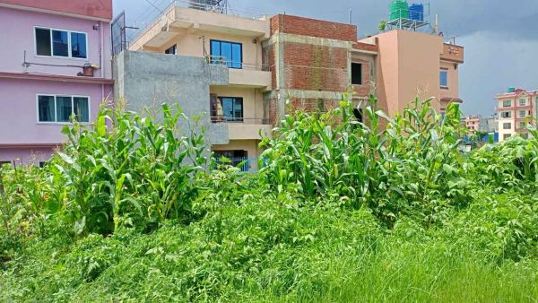 Land on sale, Dhunchepakha, Thimi