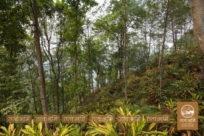5 Ropani land in Ranipauwa for Sale