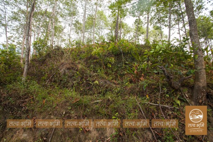 5 Ropani land in Ranipauwa for Sale