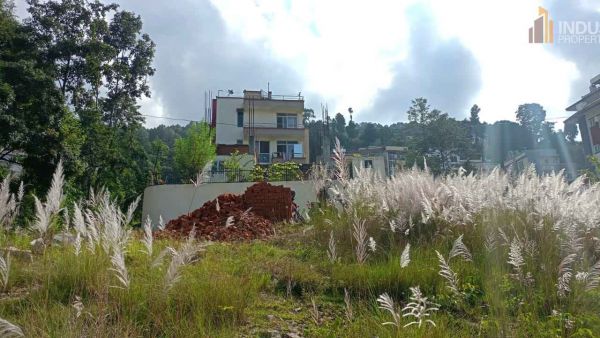 Land On Sale at Chapali , Sherpa Colony Budhanilkantha