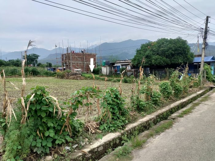 Urgent land for sale at Dharan-15, Sunsari, Nepal