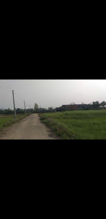 20 dhur plotted land for sale in Bharatpur,  Chitwan 