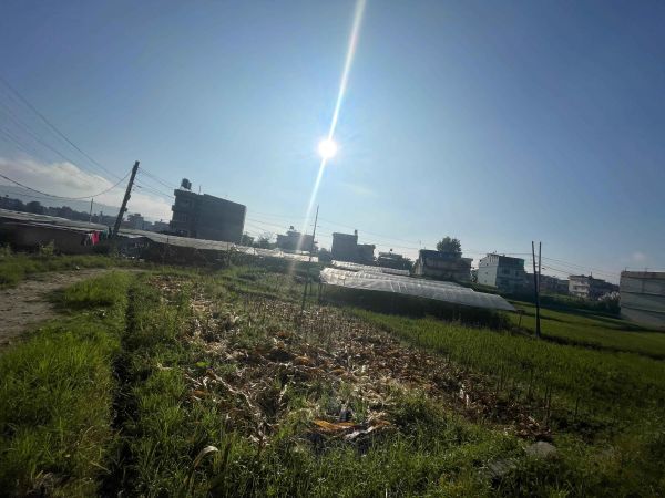 Land for sale at Duwakot, Bhaktapur(Emergency)