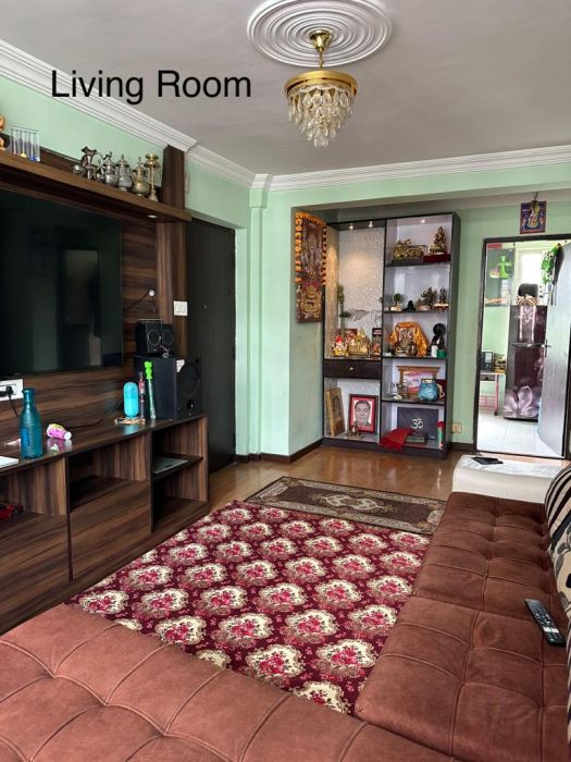 Fully Furnished Apartment at Dhumbarahi on Sale