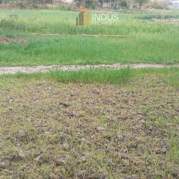 Land on sale at Bhojepokhari, Imadol