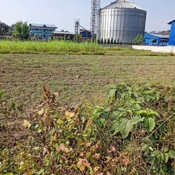Land for sale in the heart of Chitwan.