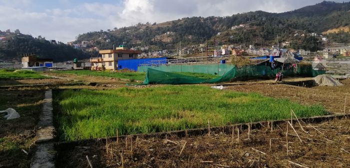 Land sale at perfect location and nearby main road