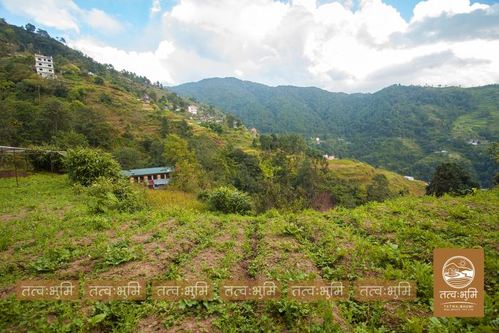 1 Ropani Land On Sale at Okharpauwa, Nuwakot
