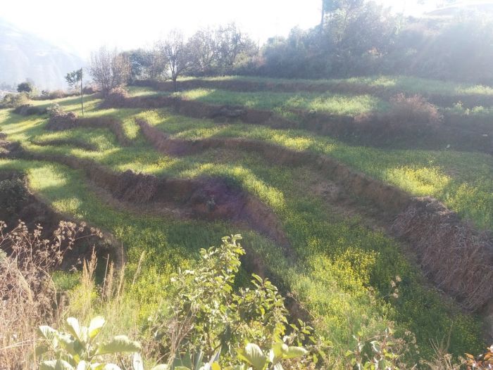 Land for sale in kathmandu